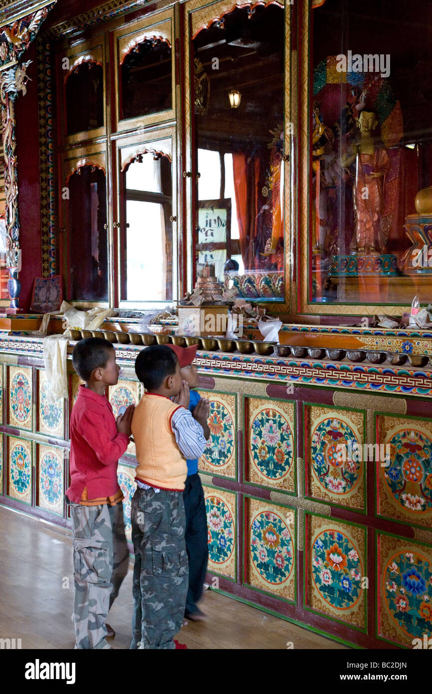 Il Tibetano boys pregando in Jivatsal tempio tibetano. Choglamsar. Ladakh. India Foto Stock