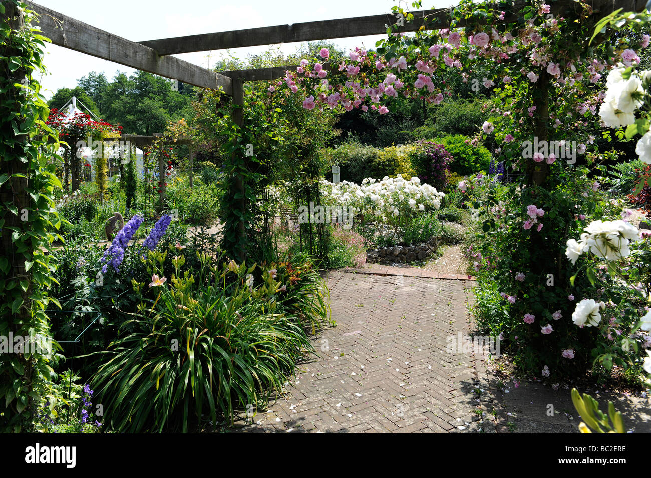 Giardino inglese con rose su una pergola, in Somerset Foto Stock
