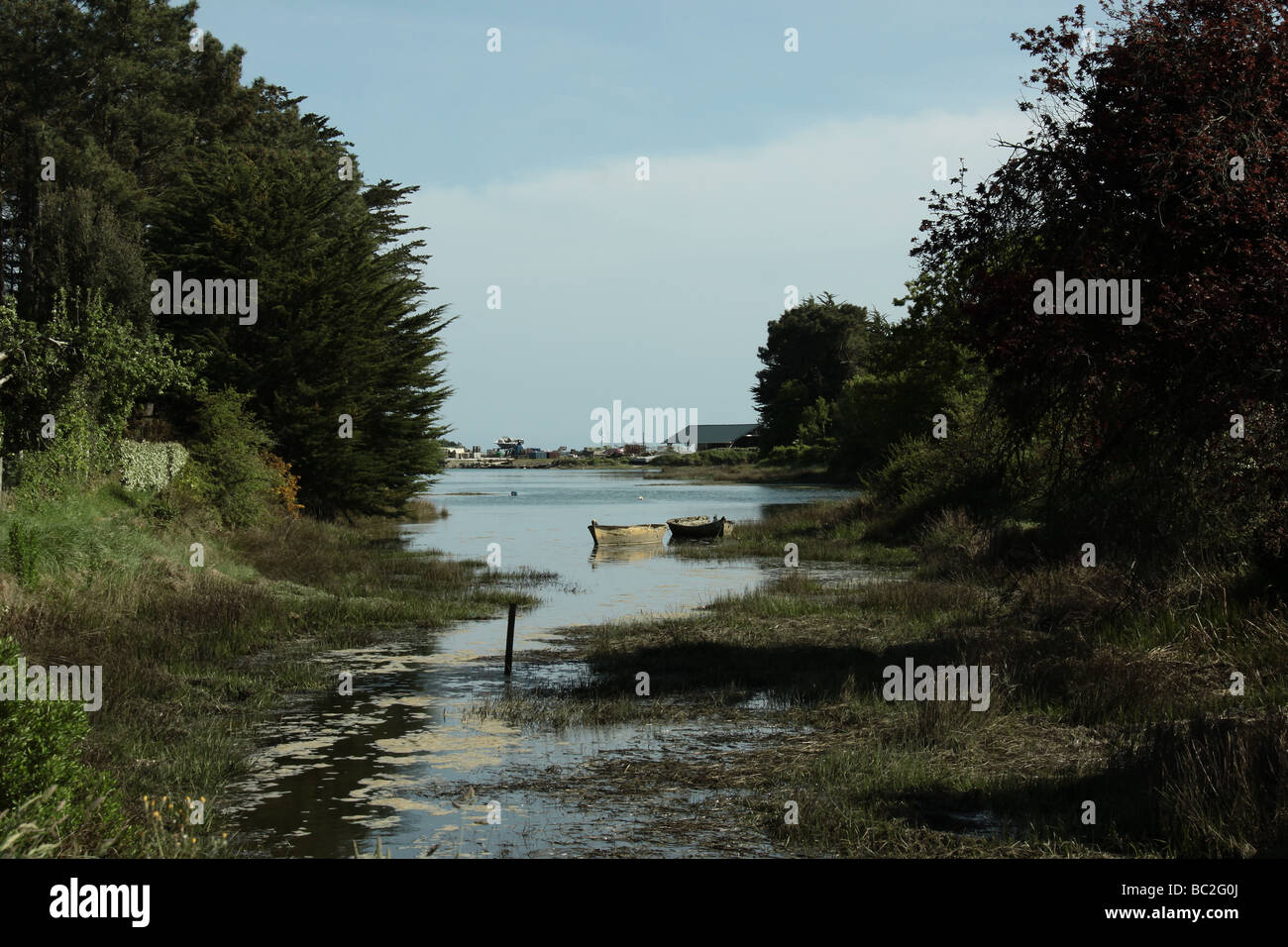 Mare river bush acqua cielo blu oceano natura paesaggio del lago verde foresta idilliaco sabbia Foto Stock