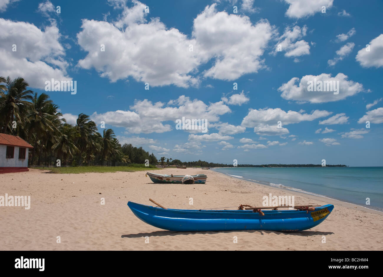 Upaveli Beach, Trincomalee, Sri Lanka East Coast Province, palme da cocco blue skies soffici nuvole bianche Foto Stock