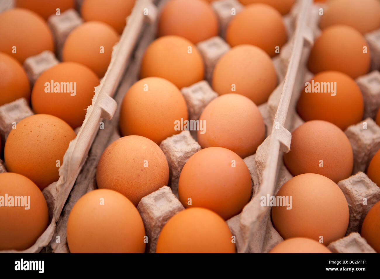 Free range uova marrone per la vendita al mercato degli agricoltori di Santa Barbara in California Foto Stock
