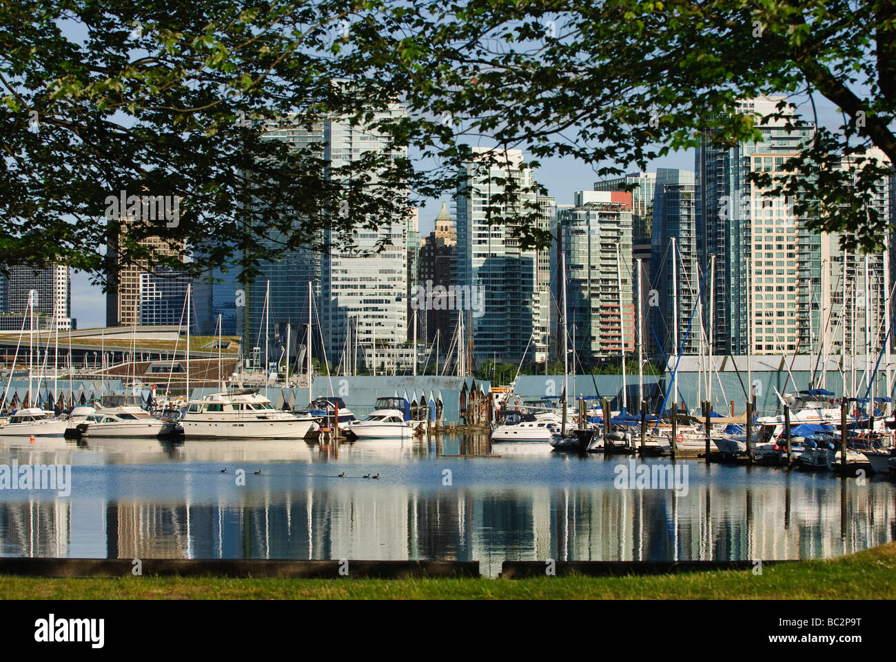 Una vista di Vancouver s skyline da Stanley Park attraverso il porto di carbone Foto Stock