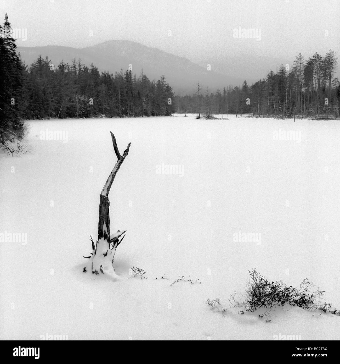 Paesaggio invernale paesaggio Foto Stock