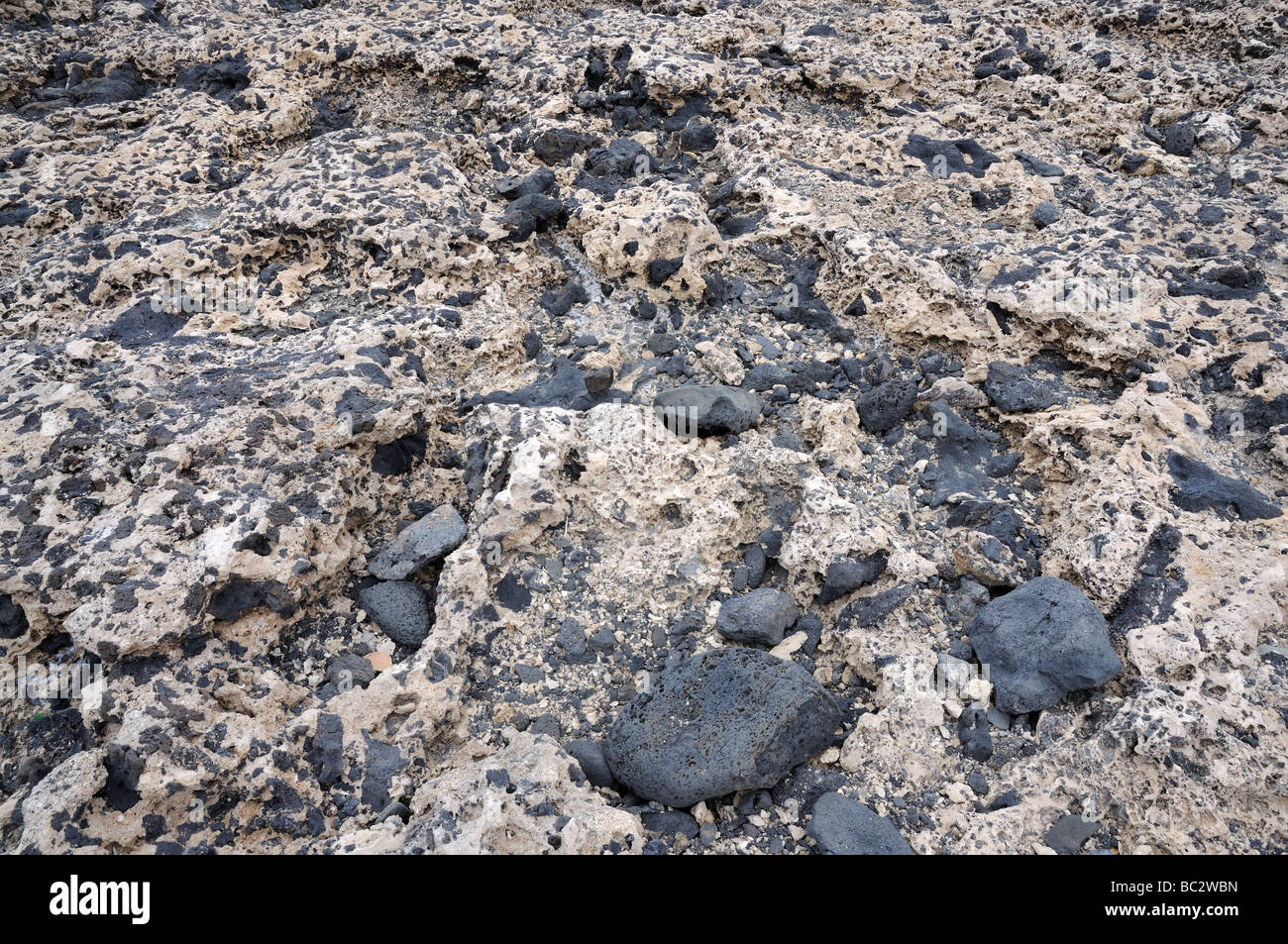 Pietra vulcanica texture. Isole Canarie Fuerteventura, Spagna Foto Stock
