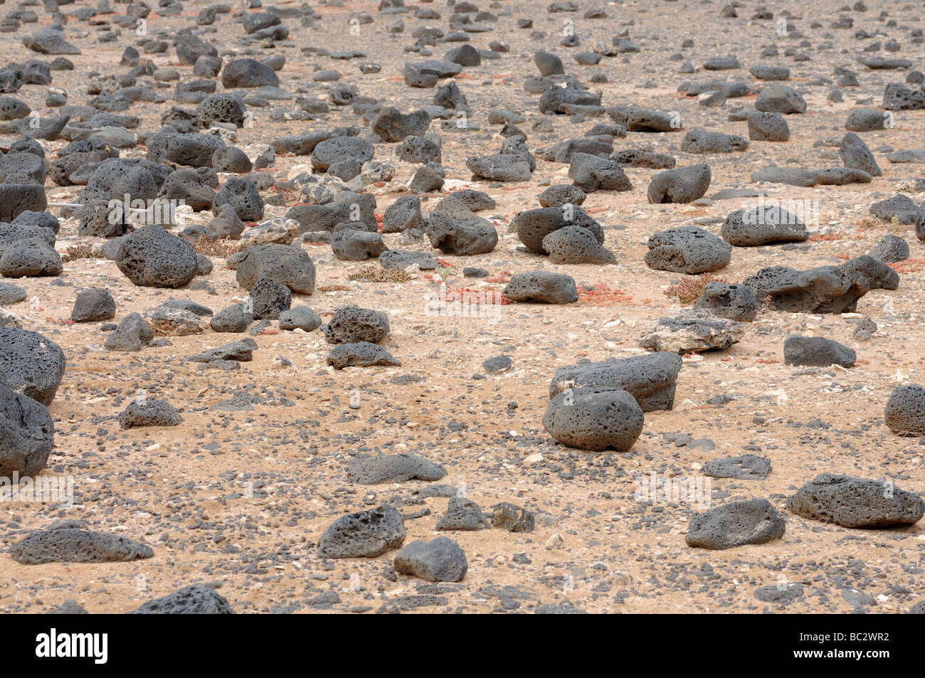 Nero pietre vulcaniche a isola delle Canarie Fuerteventura, Spagna Foto Stock