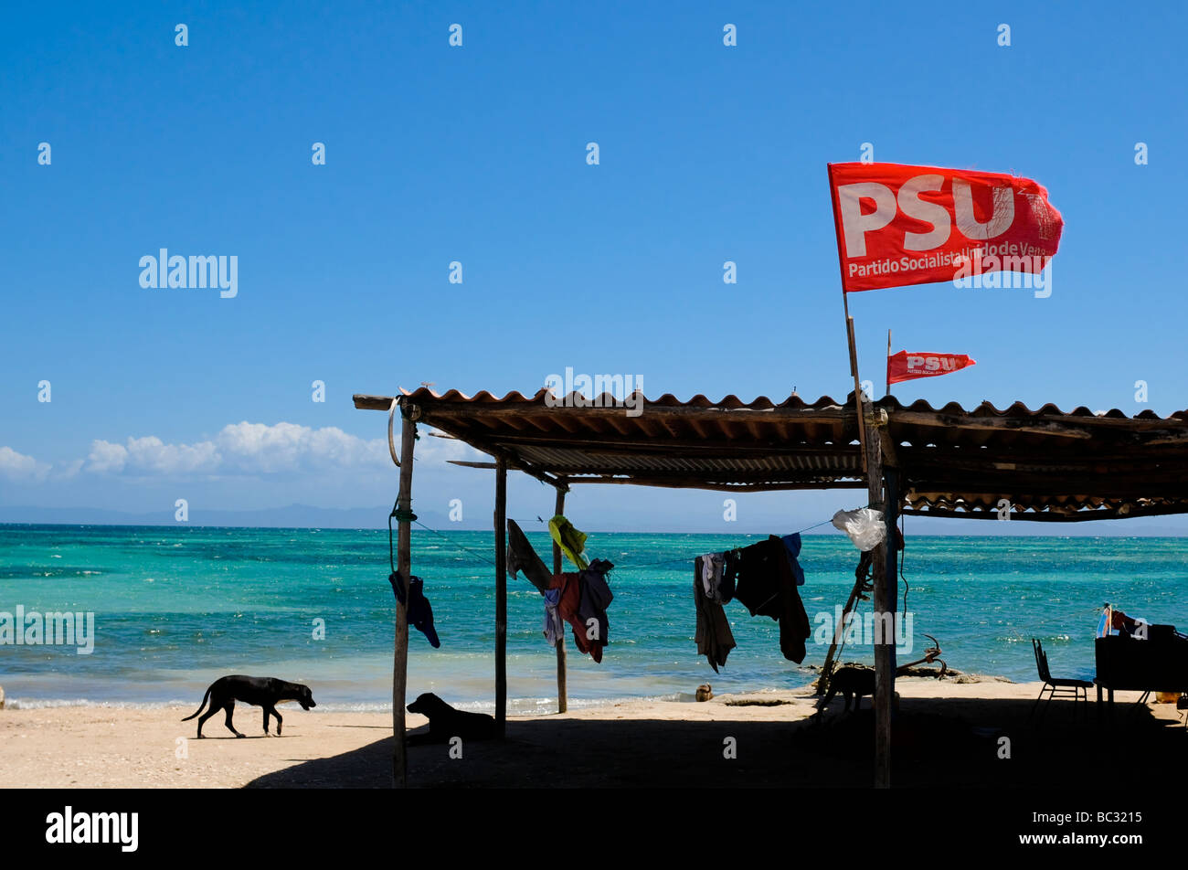 Cane da passeggiate pesca shack nell isola di Cubagua, Venezuela. Foto Stock