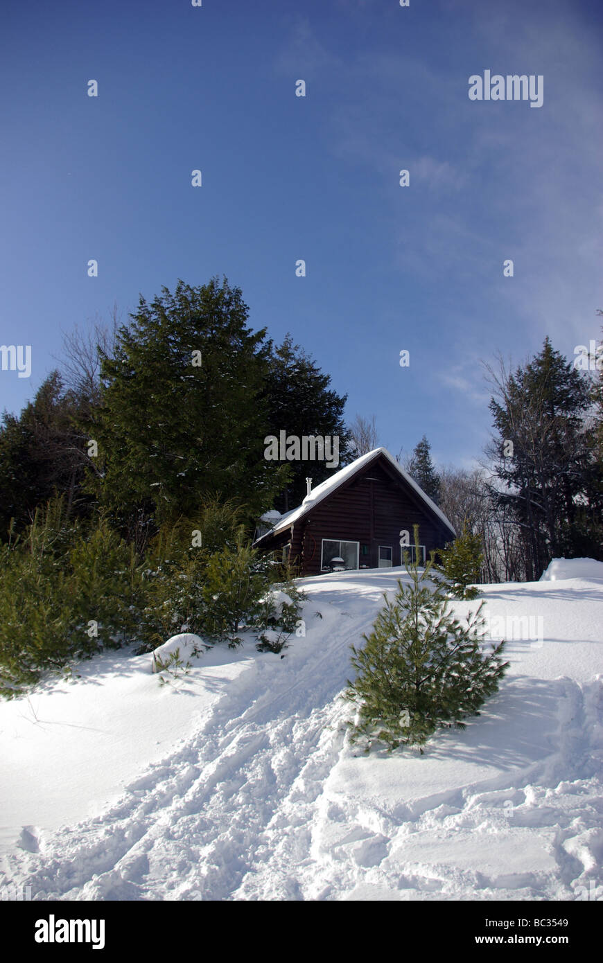 Canada, Québec : trapper capanna Foto Stock