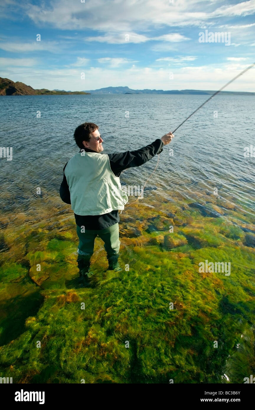 La pesca della trota in lago Thingvellir , Parco Nazionale, Islanda Foto Stock