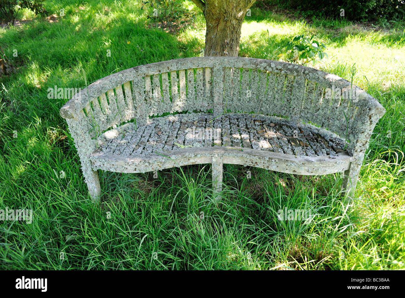 Sedile con i licheni nel Giardino Inglese nel Somerset, Regno Unito Foto Stock