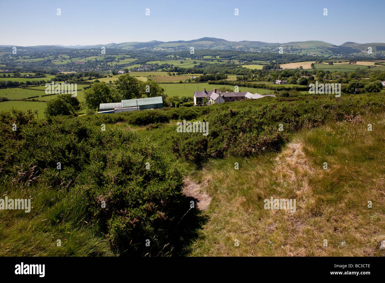 Guardando verso le colline Clwydian dal vertice di Moel y Gaer, vicino Halkyn, Flintshire, Galles Foto Stock