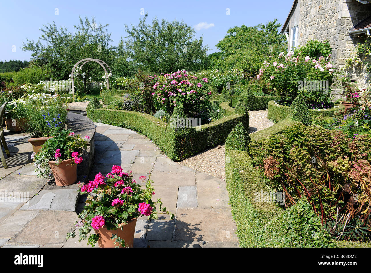 Scatolato di siepi in un giardino inglese nel Somerset, Regno Unito Foto Stock