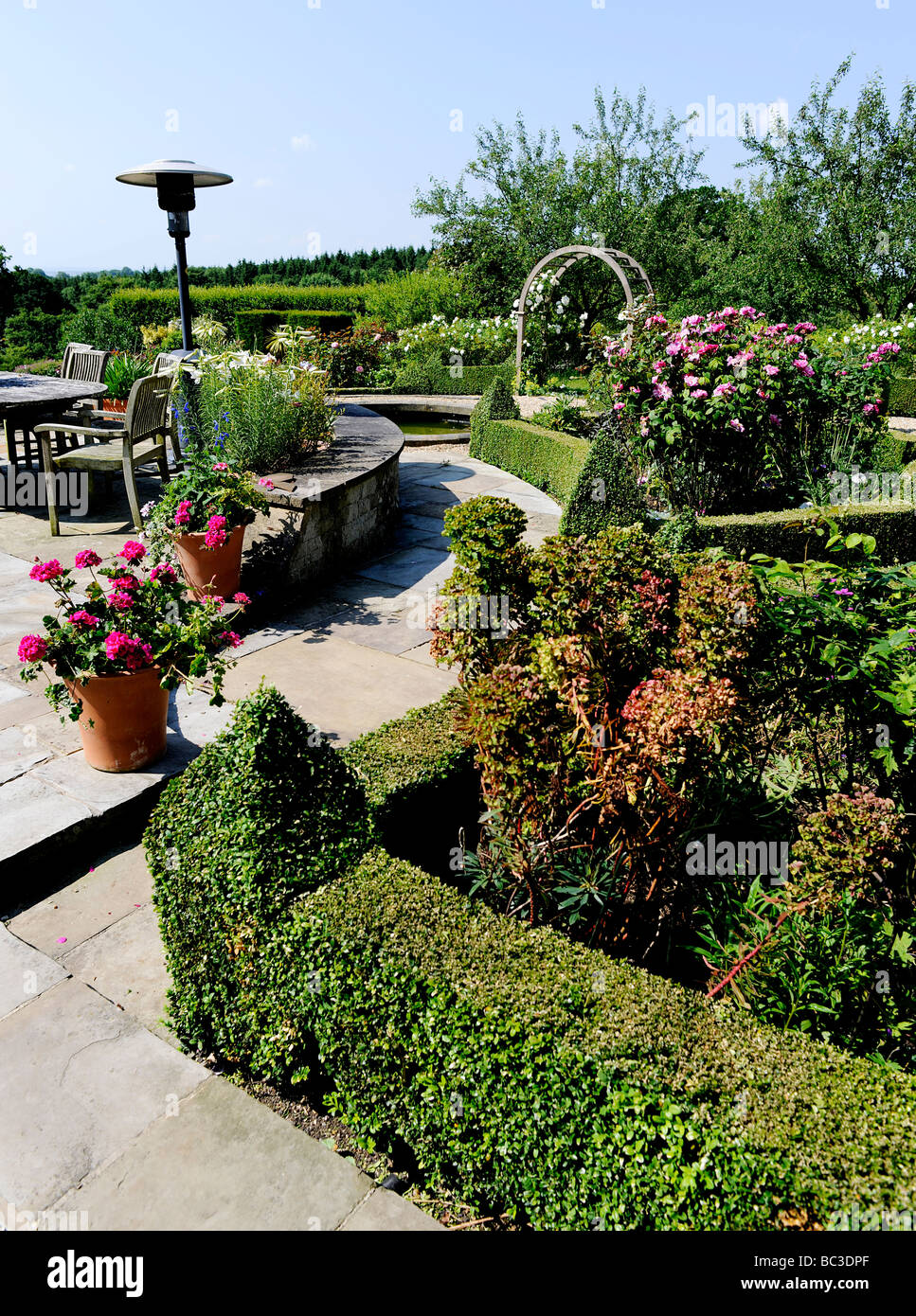 Scatolato di siepi in un giardino inglese nel Somerset, Regno Unito Foto Stock