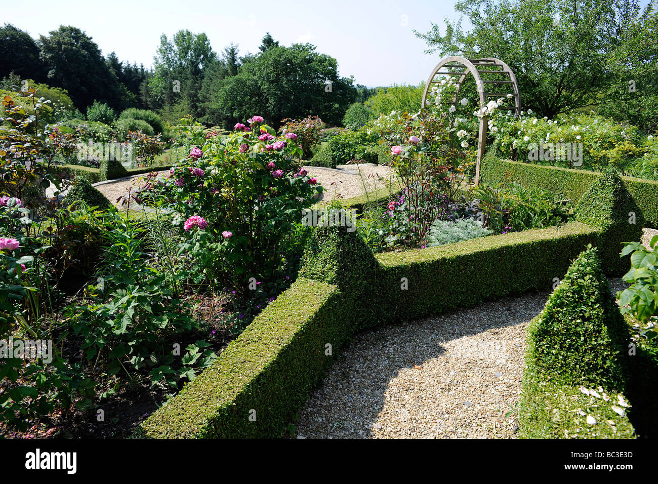 Scatolato di siepi in un giardino inglese nel Somerset, Regno Unito Foto Stock