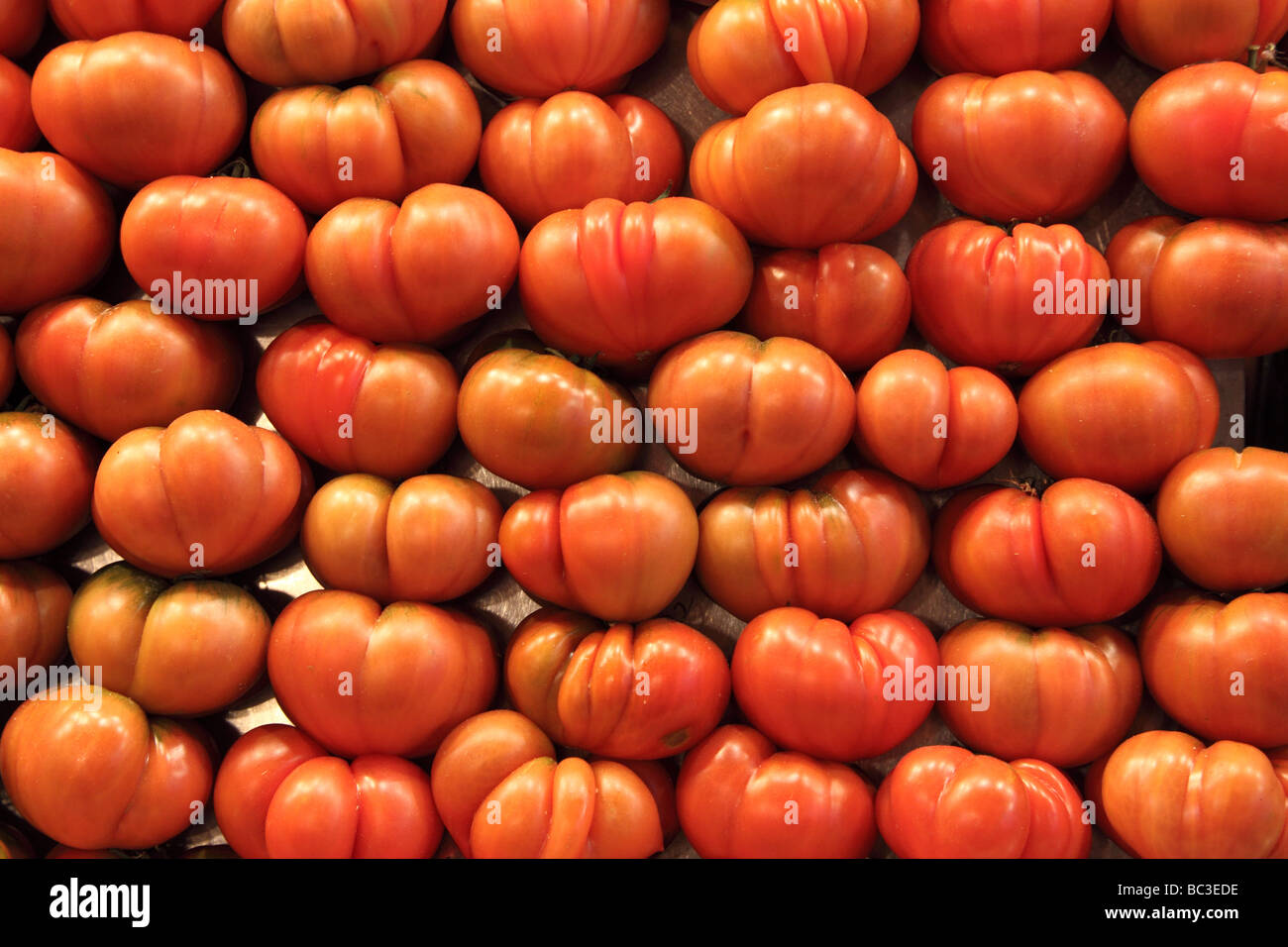 Pomodori organici esposti per la vendita La Boqueria barcellona catalogna Spagna Foto Stock