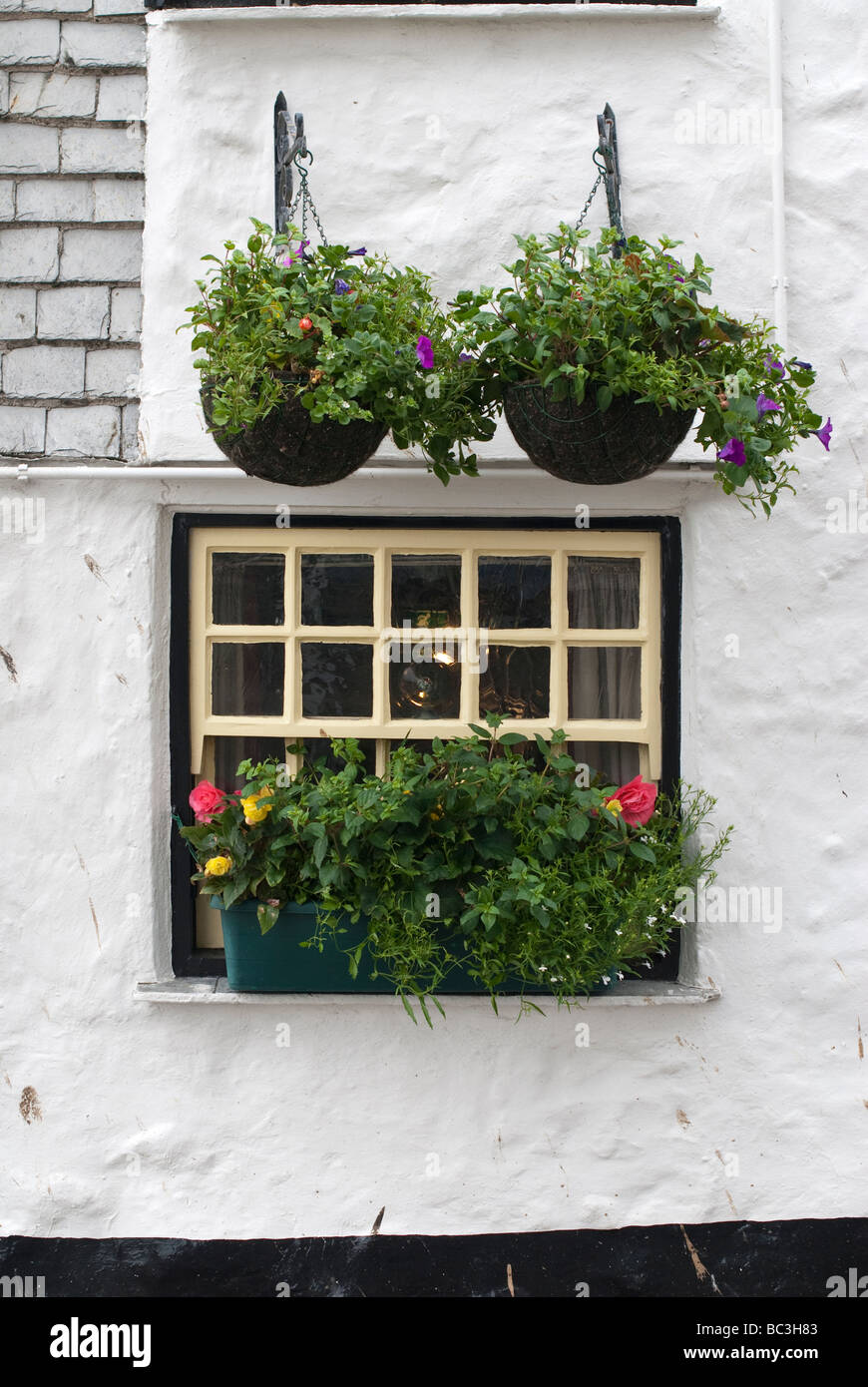 Sloop Inn finestra St Ives Cornwall Foto Stock