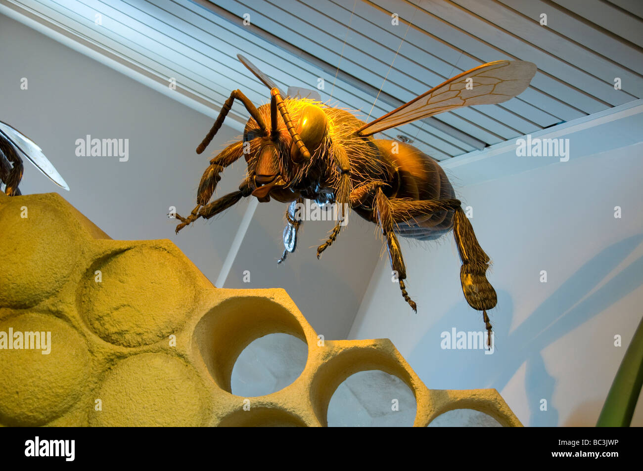 Carolina del nord e il Museo di Scienze Naturali. Foto Stock