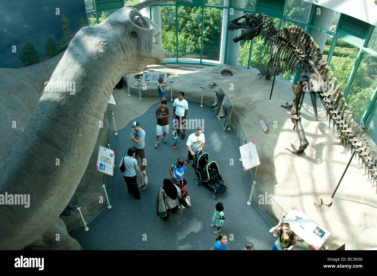 Carolina del nord e il Museo di Scienze Naturali. Foto Stock