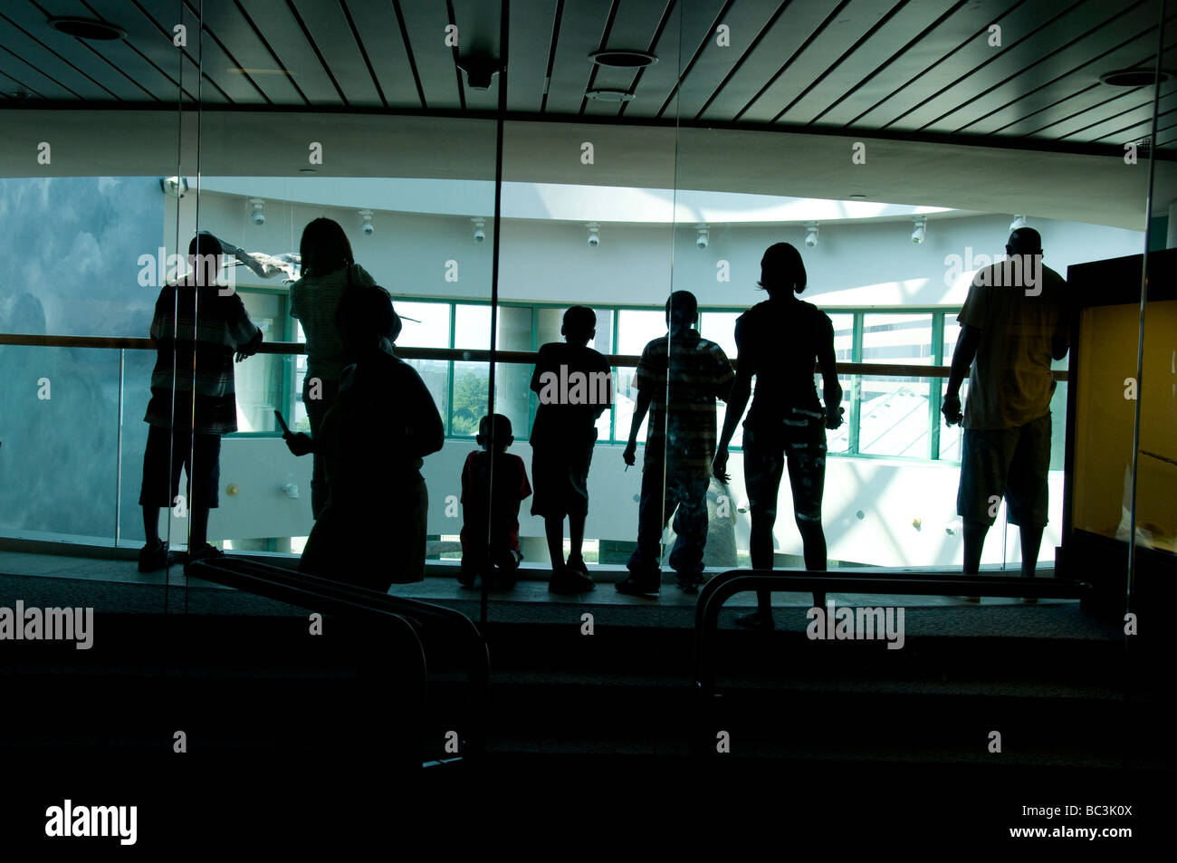 Carolina del nord e il Museo di Scienze Naturali. Foto Stock