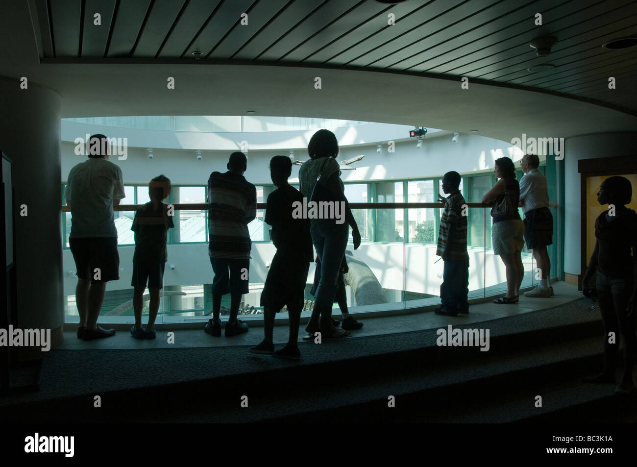 Carolina del nord e il Museo di Scienze Naturali. Foto Stock