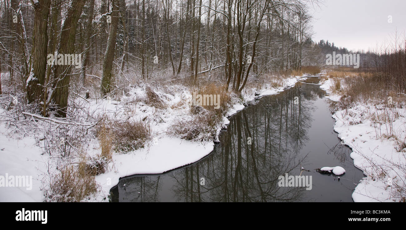 Inverno giorno nuvoloso dalla foresta fiume con neve fresca Foto Stock