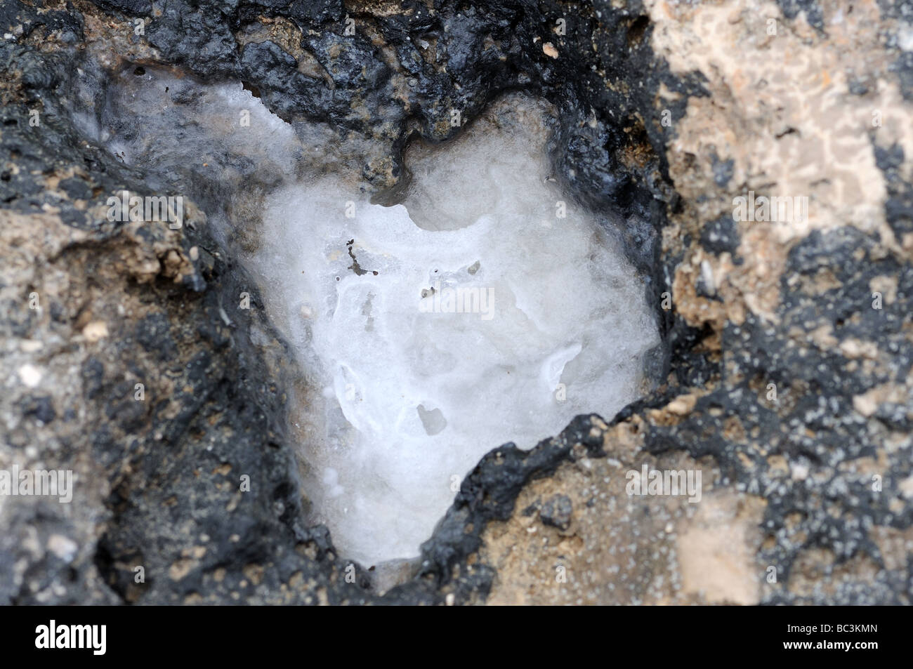 Sale in pietra vulcanica sulla costa Atlantica di Fuerteventura, Spagna Foto Stock