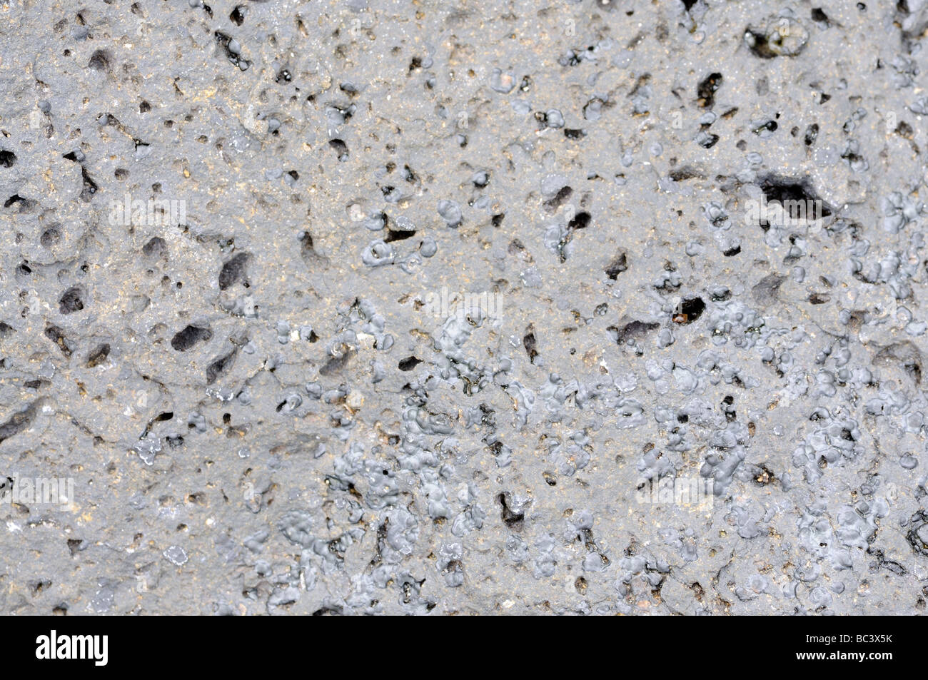 Pietra vulcanica texture. Isole Canarie Fuerteventura, Spagna Foto Stock