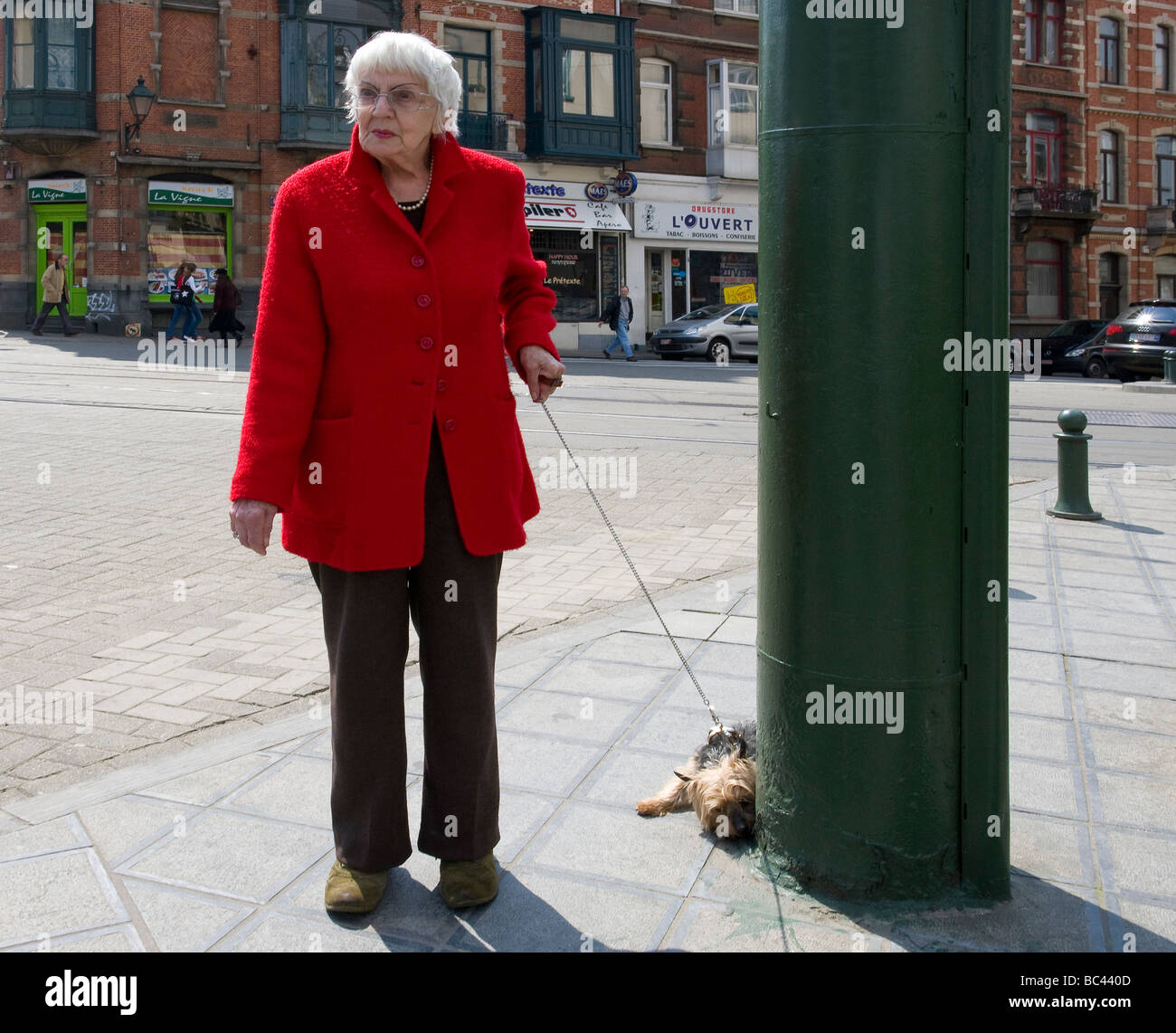 Il vecchio donna cane a piedi Foto Stock