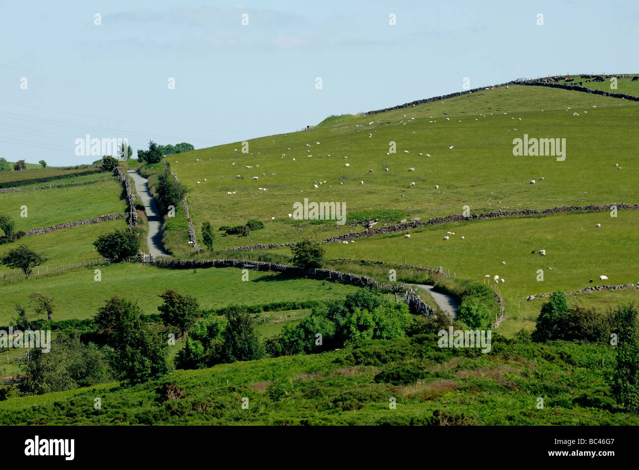 Vista da Waen y Llyn Country Park, speranza di montagna, North East Wales, Regno Unito Foto Stock