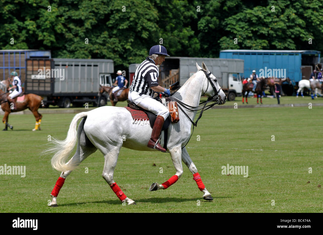 Arbitro di Polo Foto Stock