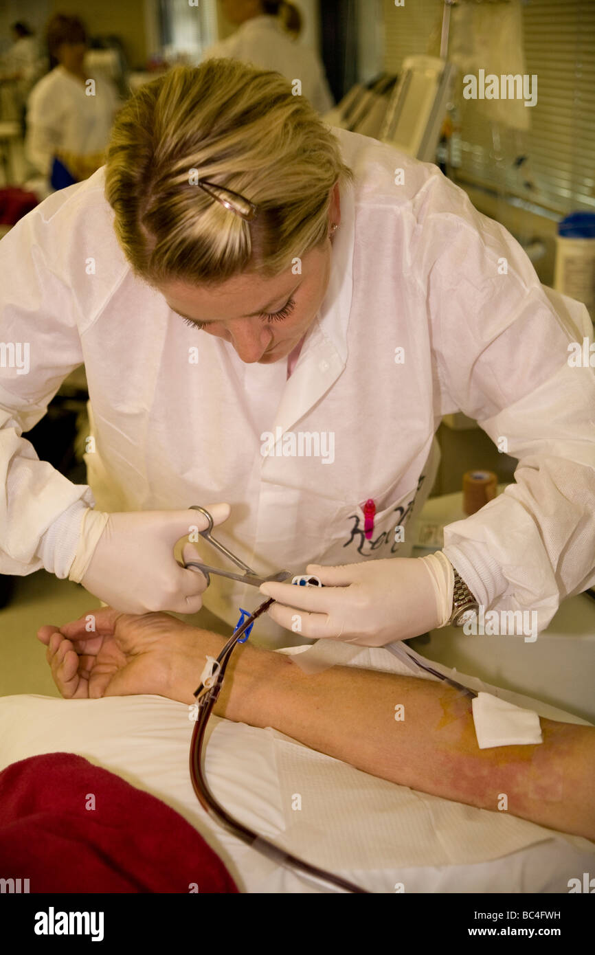 California la Croce Rossa tecnico delle piastrine nel sangue del donatore. Signor © Myrleen Pearson Foto Stock