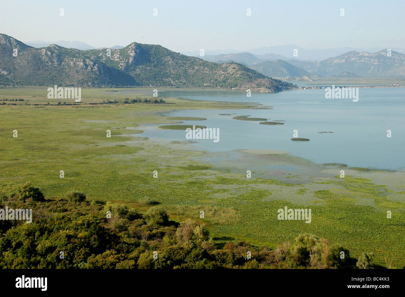Una vista del Lago di Scutari guardando verso il villaggio di Virpazar, in Montenegro. Foto Stock