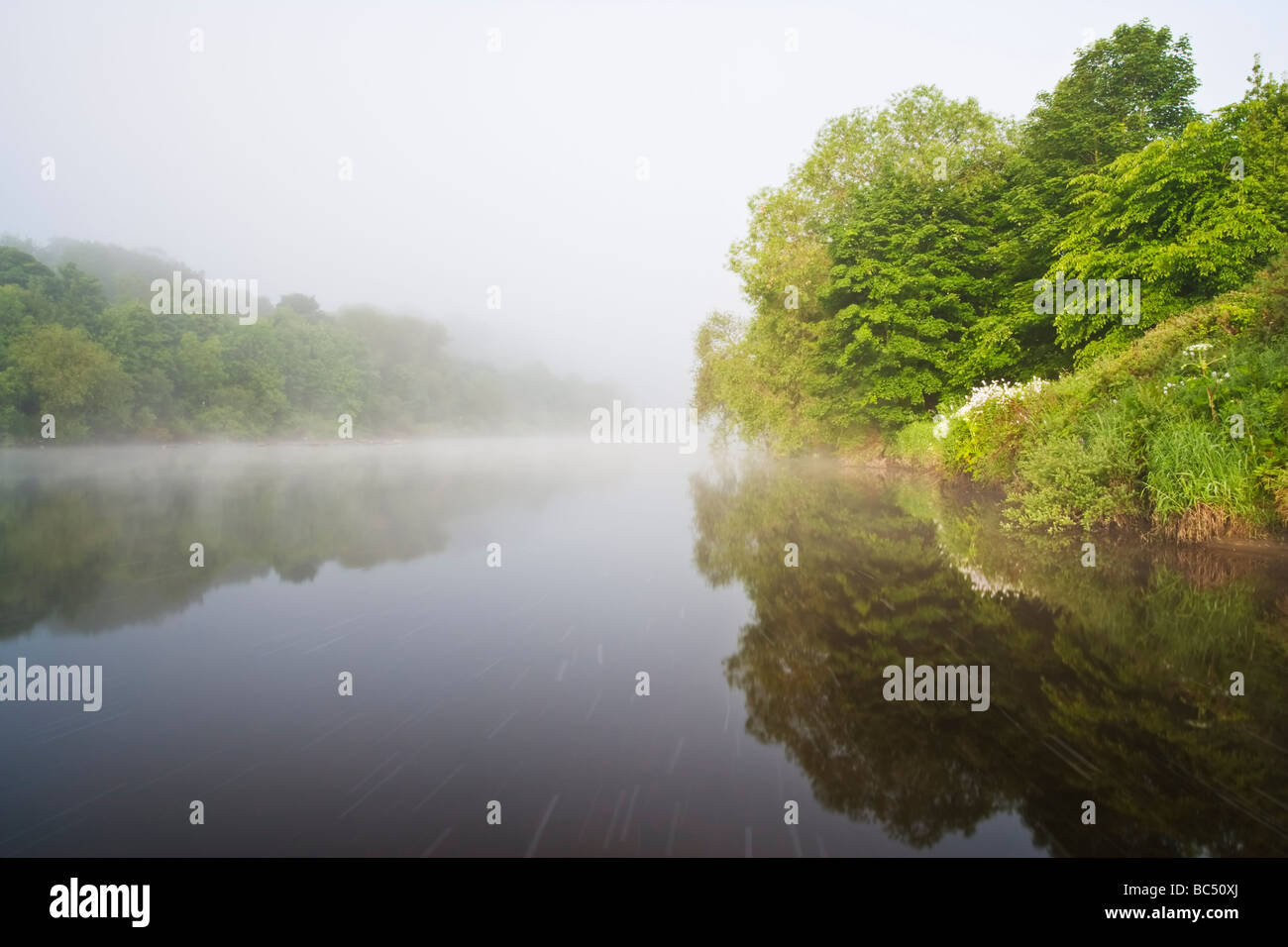 La nebbia che si innalzano per oltre il veloce-fluente acque del Fiume Tyne su una mattina d'estate nei pressi del villaggio di Wylam, Northumberland Foto Stock