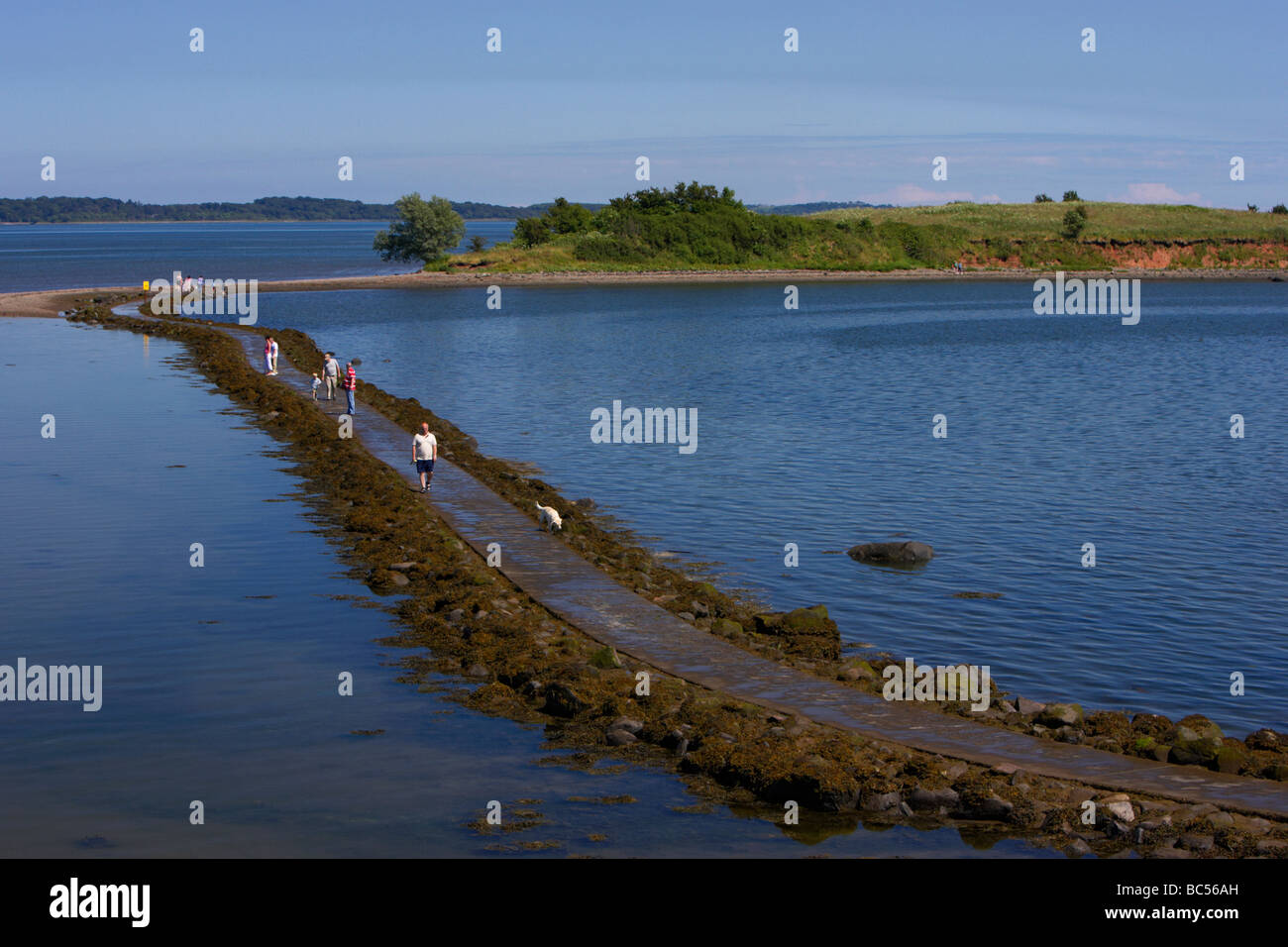 I turisti a piedi causeway in calcestruzzo a bassa marea a ruvida isola dall' isola collina vicino dalla pettinatrice in Strangford Lough contea di Down Foto Stock