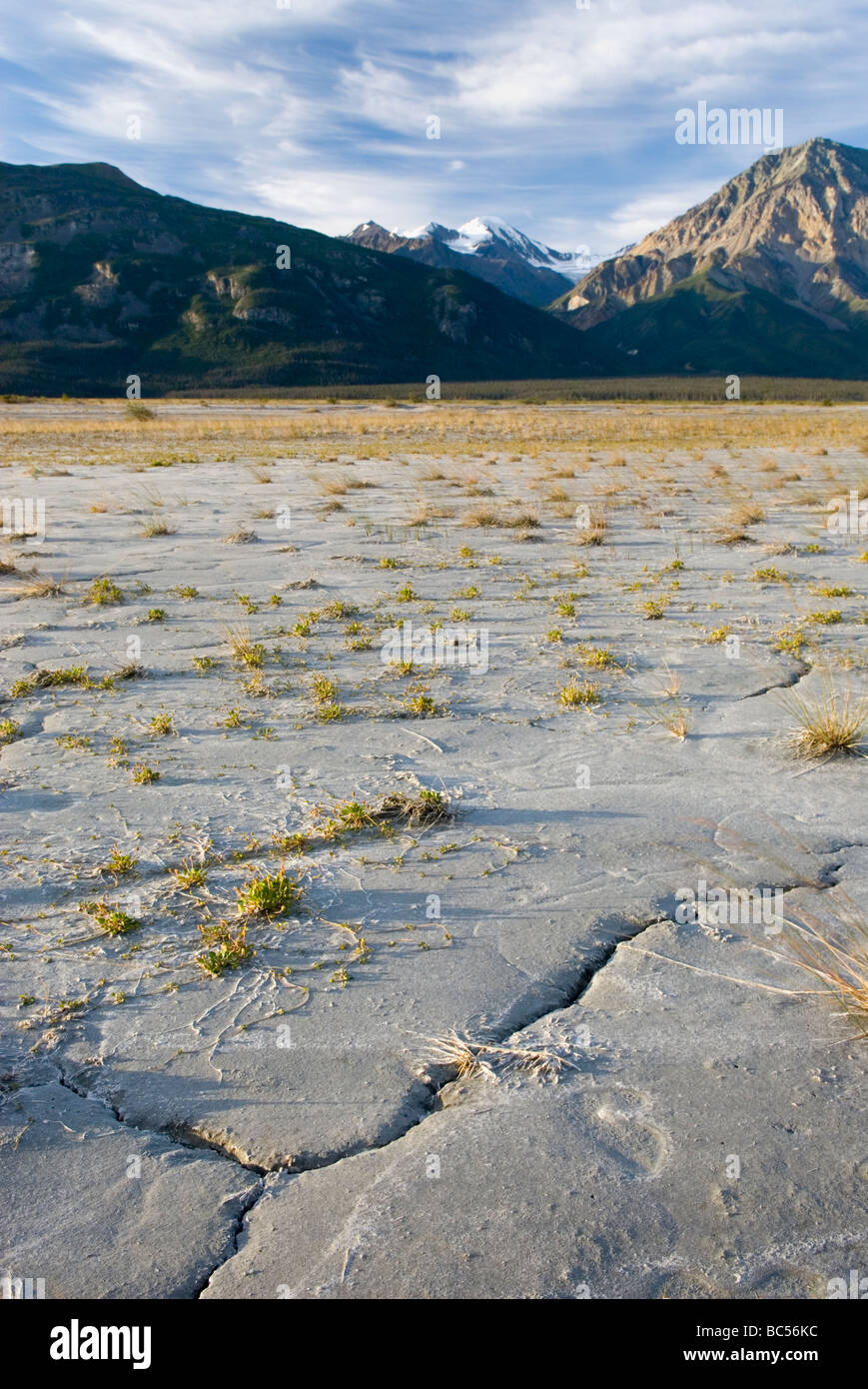 Fango glaciale appartamenti presso la foce del fiume snellisce Parco Nazionale Kluane Yukon Canada Foto Stock