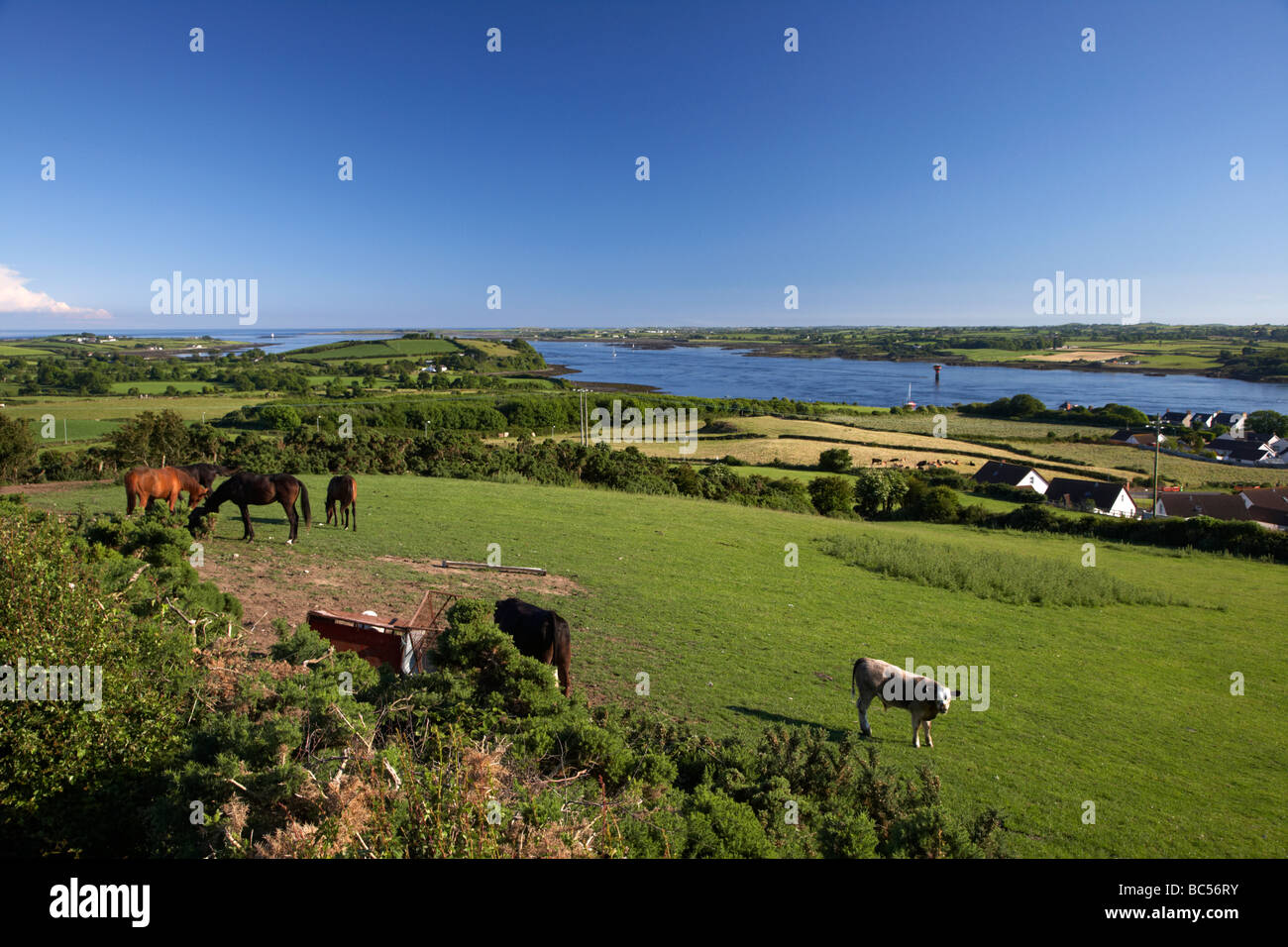 Vista su terreni agricoli e la bocca di Strangford Lough contea di Down Irlanda del Nord Regno Unito Foto Stock