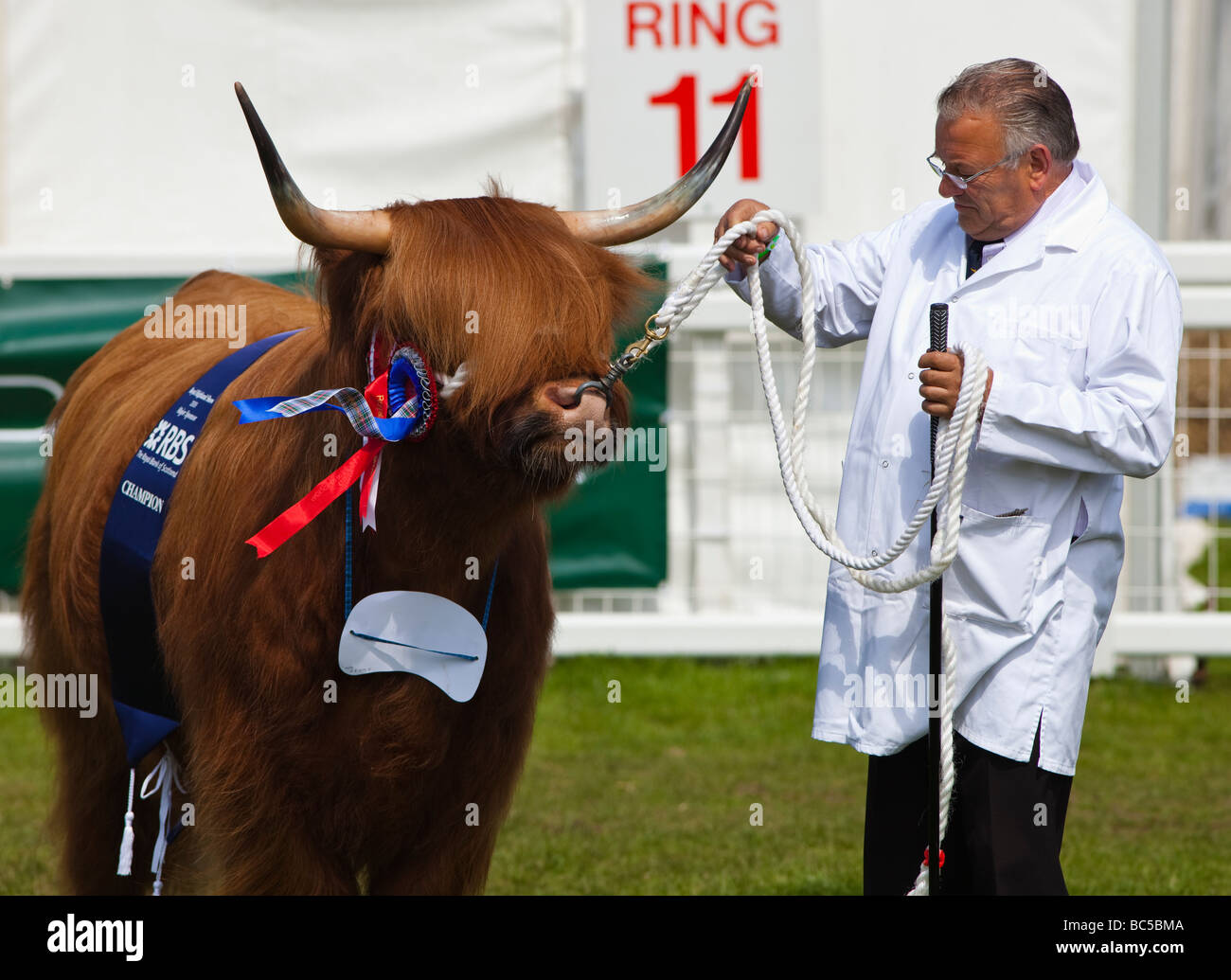 Vincitore del premio bovini highland bull con il gestore e rosette al Royal Highland Show di Edimburgo in Scozia Foto Stock