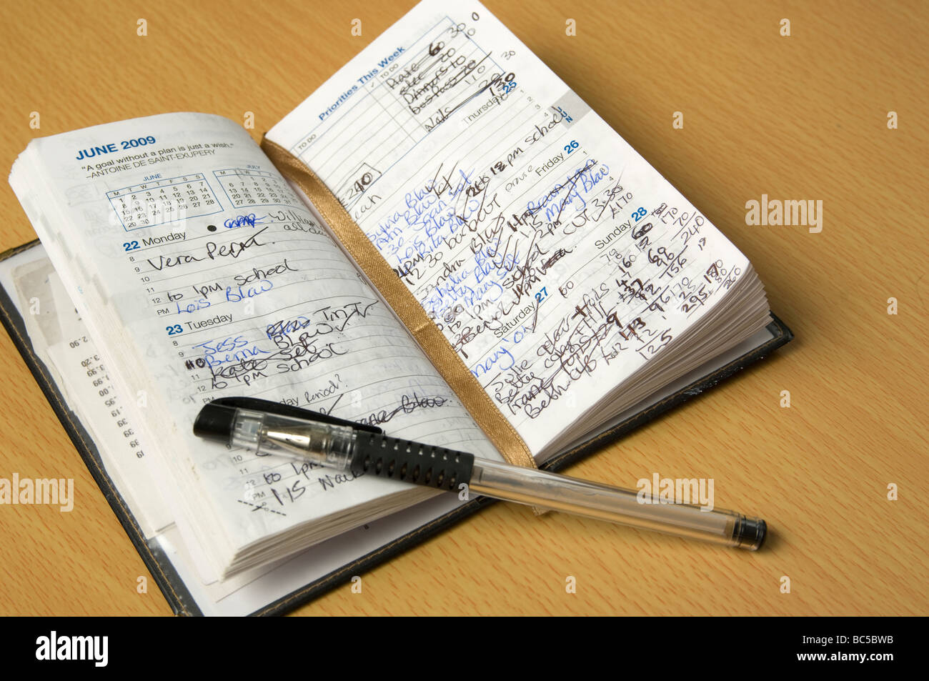 Utilizzate il diario e planner, fotografati con una penna. Foto Stock