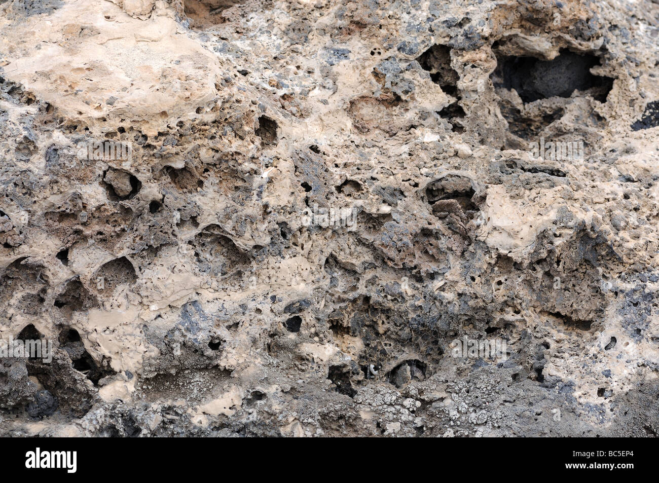 Pietra vulcanica texture. Isole Canarie Fuerteventura, Spagna Foto Stock