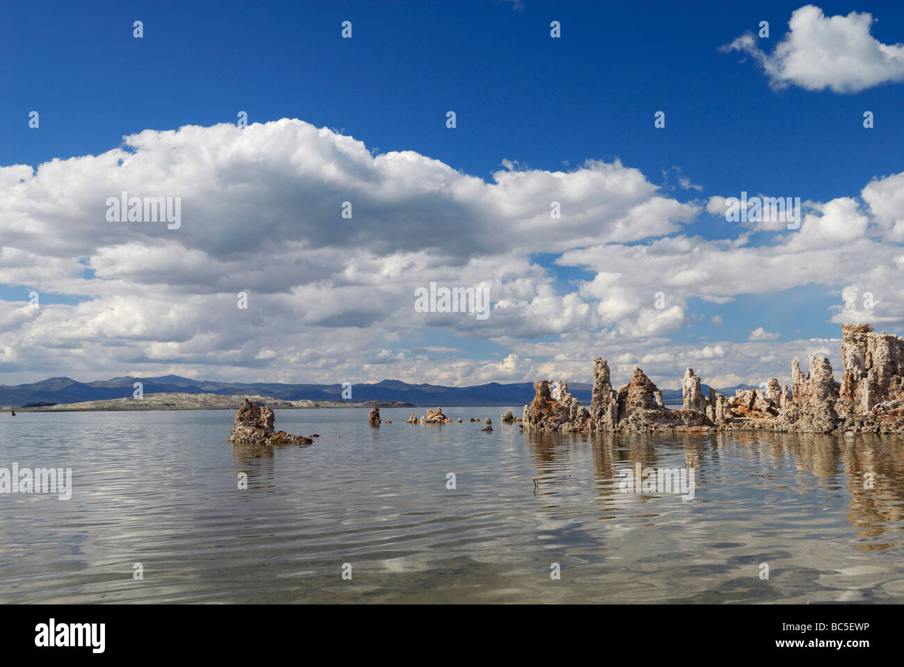 Formazioni minerali del Lago Mono in California orientale Foto Stock