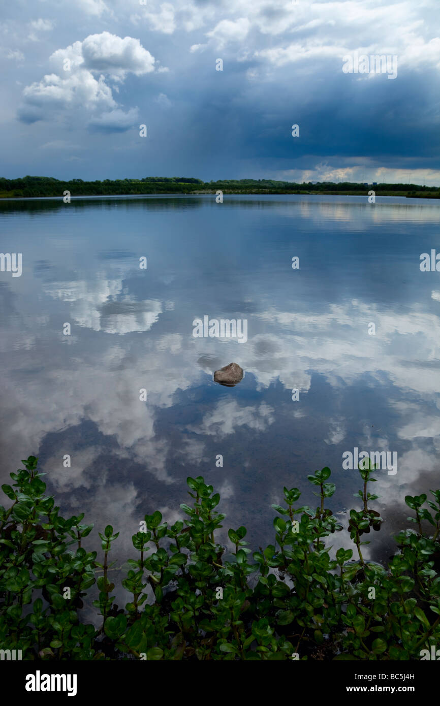 Brockholes Foto Stock