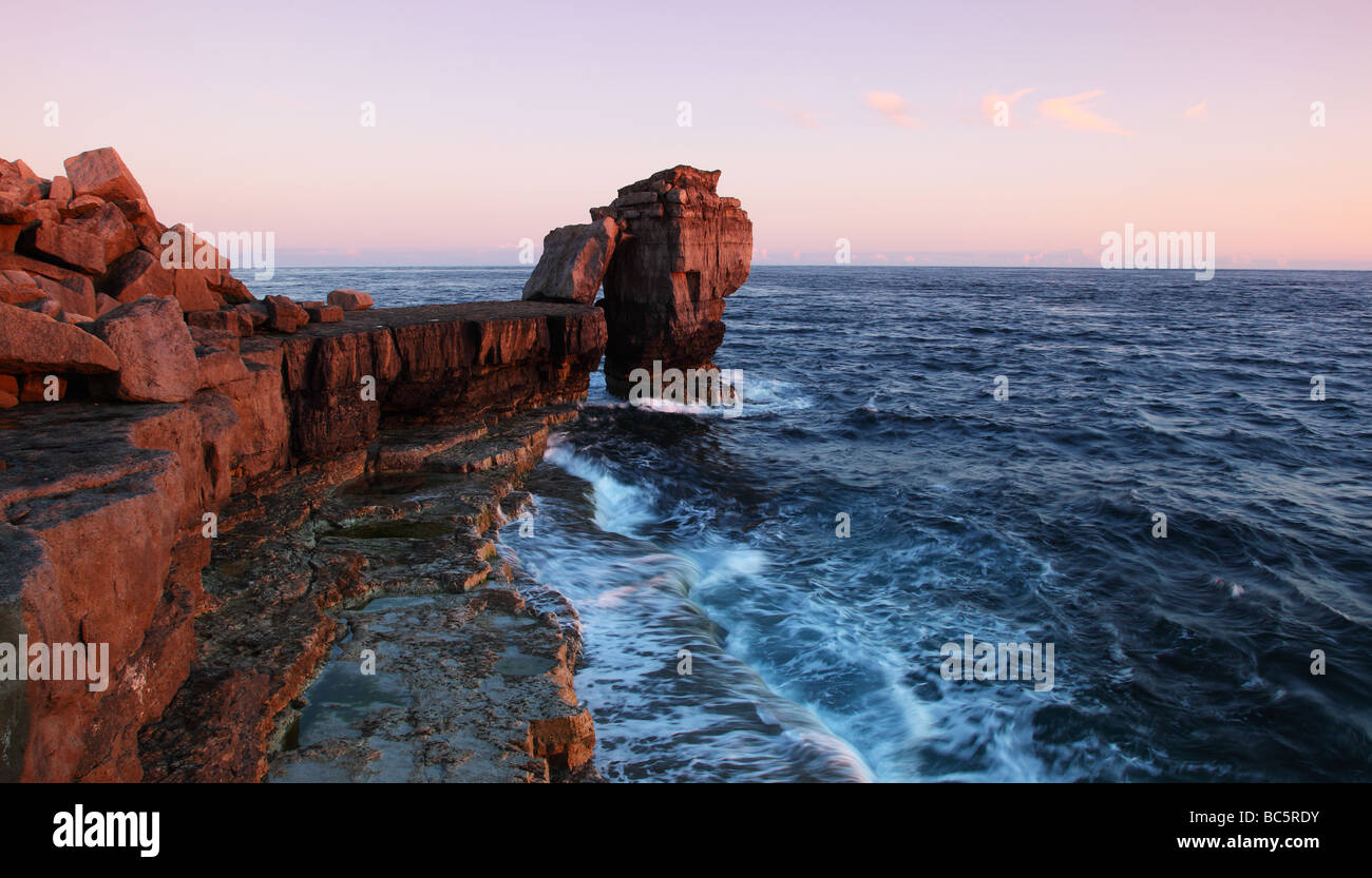 Il pulpito Rock è funzione costiera vicino alla punta meridionale dell'isola di Portland, Dorset, Inghilterra Foto Stock