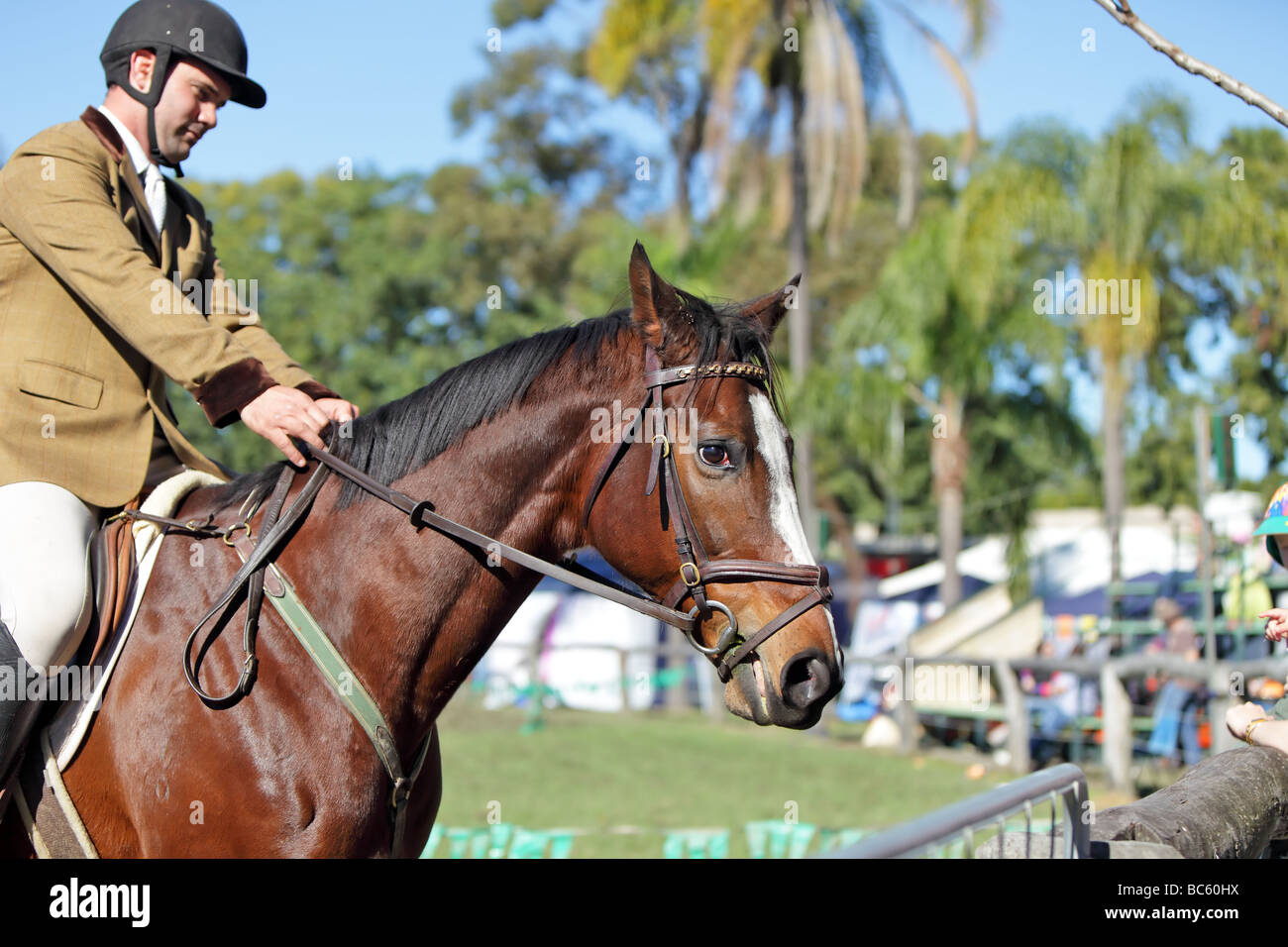 Sterward in corrispondenza di un evento equestre per show jumping Foto Stock