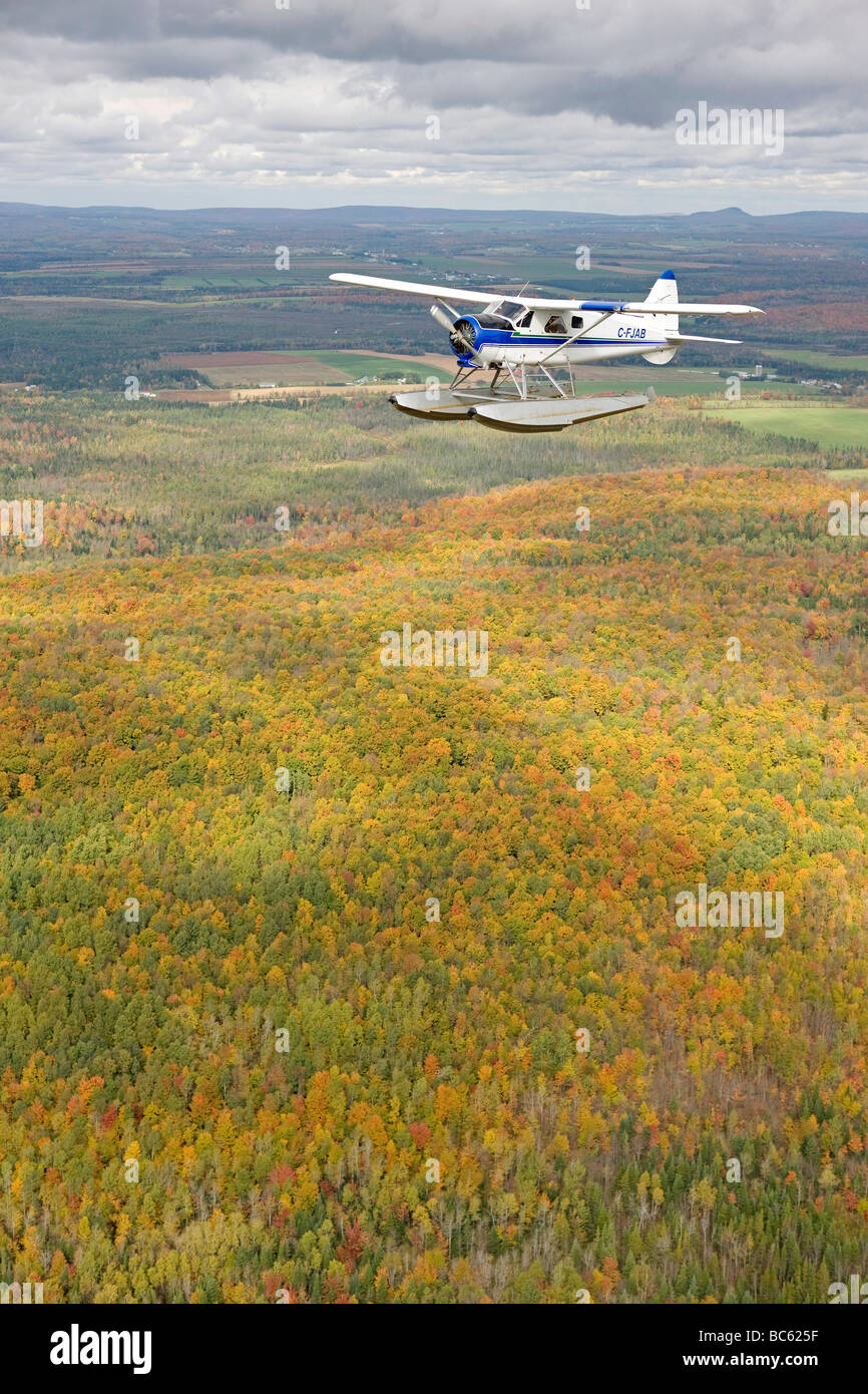 Elica aereo sopra il paesaggio, Canada, Québec Foto Stock