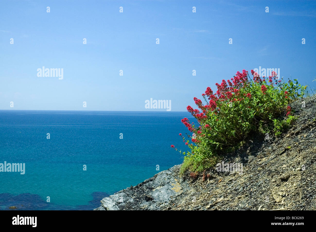 Aberystwyth, Ceredigion, Wales, Regno Unito Foto Stock
