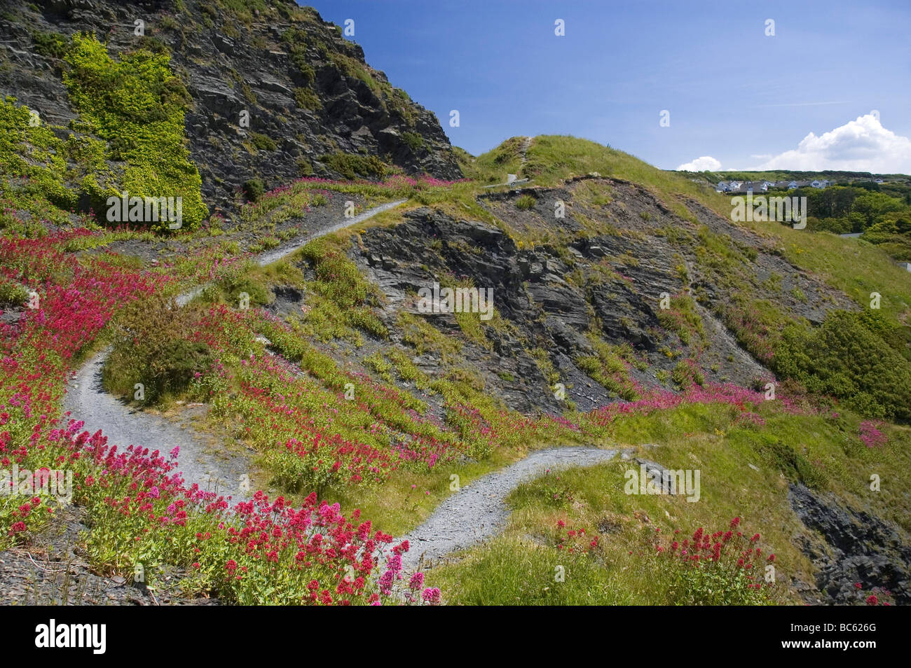 Aberystwyth, Ceredigion, Wales, Regno Unito Foto Stock