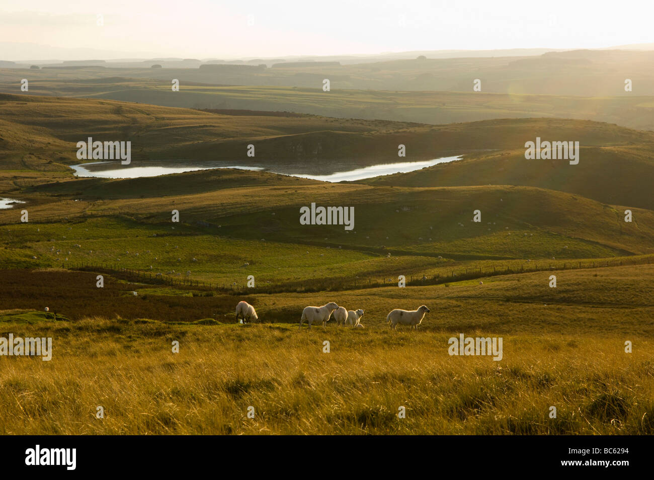 Powys, Mid Wales, Regno Unito Foto Stock