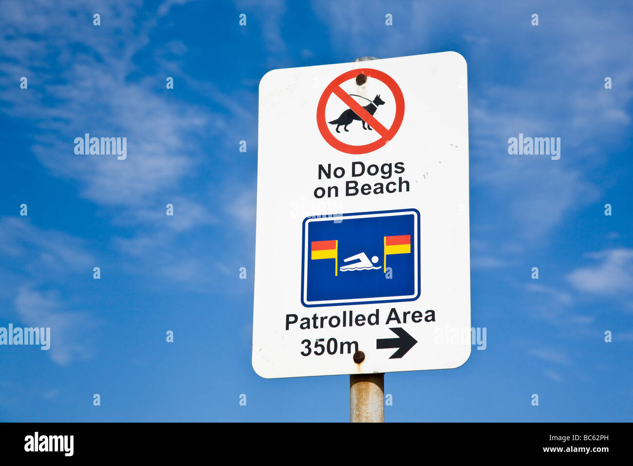 No cani sulla spiaggia di segno di avvertimento alla spiaggia Nobbys Newcastle NSW Australia Foto Stock