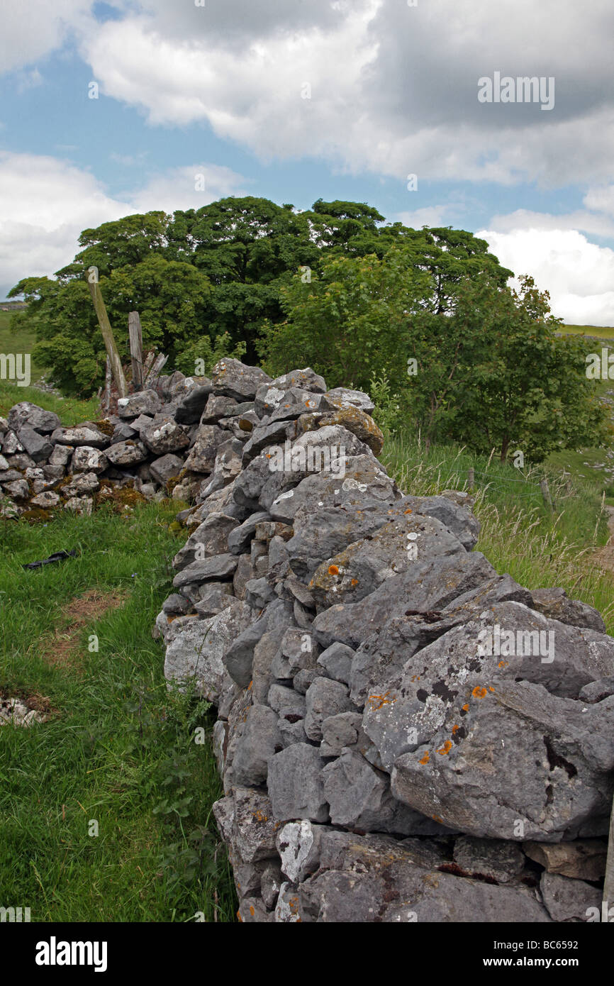 Muro di pietra dividendo i campi su un hill farm Foto Stock