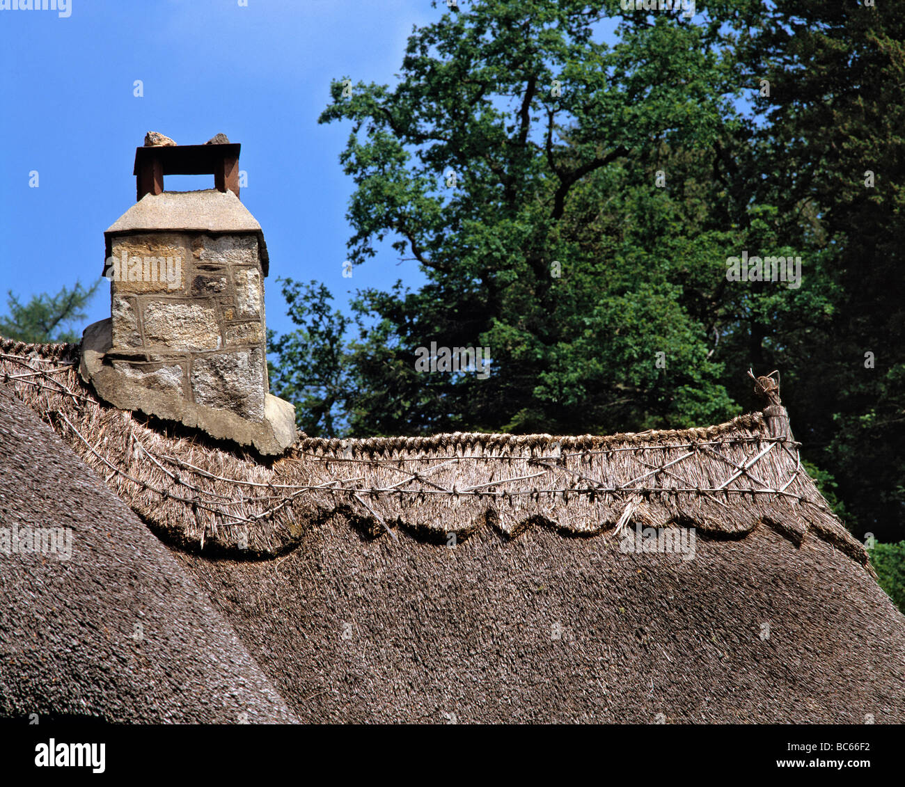 Tessitura intricata fissa la paglia su questo cottage tetto in Buckland in Moro Devon England Foto Stock