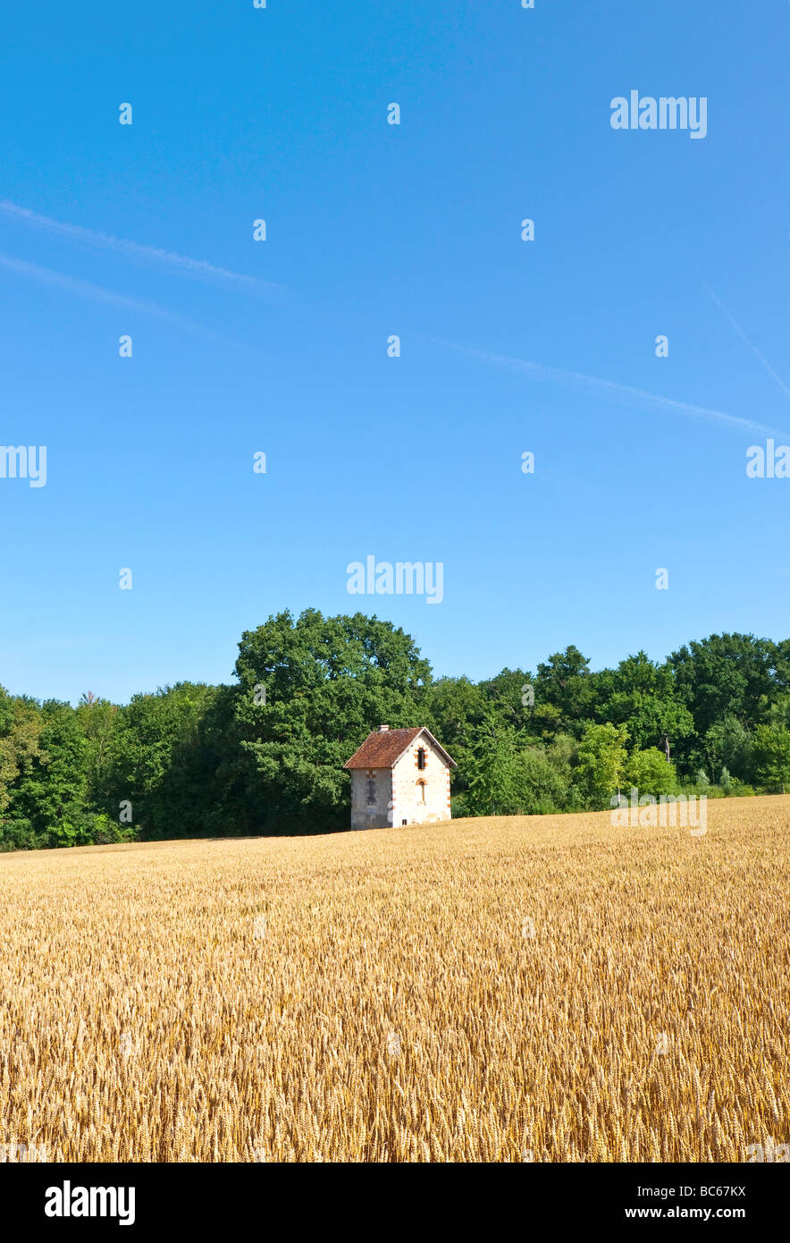 Rifugio tradizionale per i lavoratori agricoli in cornfield - Touraine, Francia. Foto Stock